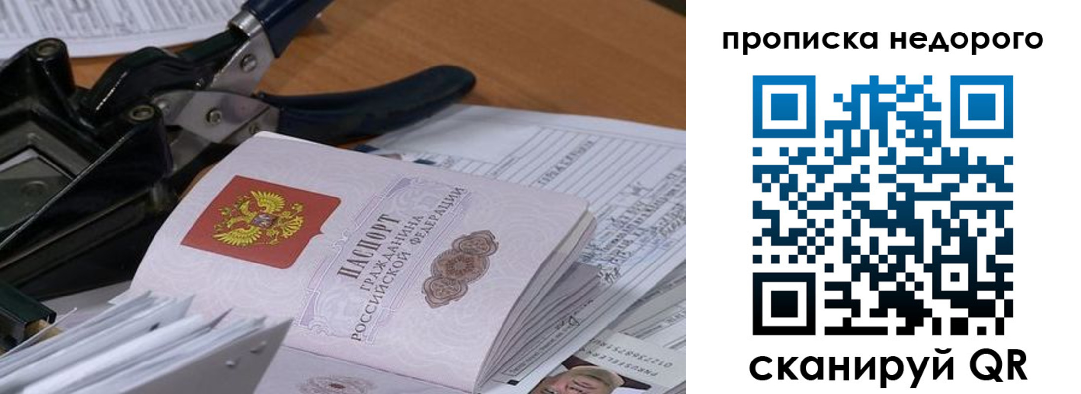 где прописаться в Лодейном Поле